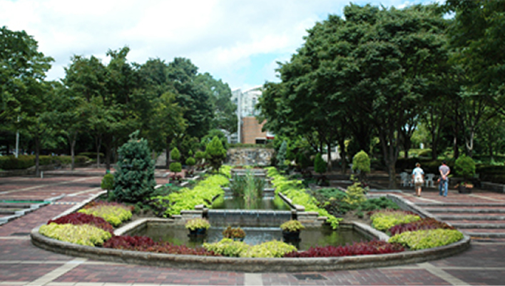 忘れな草の特徴イメージ2